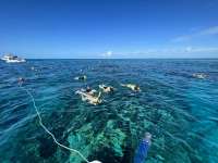 Great day of scuba diving in Key Largo with Rainbow Reef on christ statue tropical adventure 2022 06 11 r12652 2