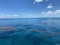 Great day of scuba diving in Key Largo with Rainbow Reef on conch wall tropical destiny 2022 06 29 r12793 2