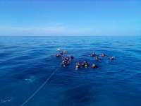 Great day of scuba diving in Key Largo with Rainbow Reef on french reef tropical serenity 2022 06 10 r12644 2