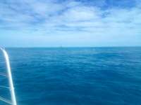 Great day of scuba diving in Key Largo with Rainbow Reef on hole in the wall tropical odyssey 2022 06 05 r12609 1