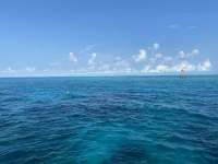 Great day of scuba diving in Key Largo with Rainbow Reef on hole in the wall tropical odyssey 2022 06 06 r12614 1