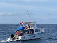 Great day of scuba diving in Key Largo with Rainbow Reef on hole in the wall tropical odyssey 2022 06 16 r12684 1