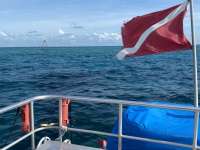 Great day of scuba diving in Key Largo with Rainbow Reef on hole in the wall tropical odyssey 2022 06 16 r12684 3