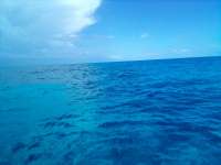 Great day of scuba diving in Key Largo with Rainbow Reef on minnow cave tropical serenity 2022 06 10 r12648 1