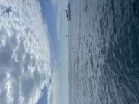 Great day of scuba diving in Key Largo with Rainbow Reef on molasses reef tropical explorer 2022 06 08 r12633 1