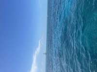 Great day of scuba diving in Key Largo with Rainbow Reef on molasses reef tropical explorer 2022 06 13 r12673 1