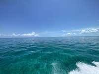 Great day of scuba diving in Key Largo with Rainbow Reef on molasses reef tropical odyssey 2022 06 18 r12705 1
