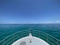 Great day of scuba diving in Key Largo with Rainbow Reef on molasses reef tropical odyssey 2022 06 18 r12705 2