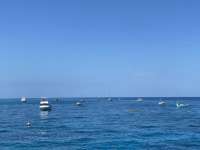 Great day of scuba diving in Key Largo with Rainbow Reef on molasses reef tropical odyssey 2022 06 18 r12705 4