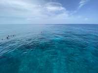 Great day of scuba diving in Key Largo with Rainbow Reef on molasses reef tropical odyssey 2022 06 20 r12719 2