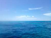 Great day of scuba diving in Key Largo with Rainbow Reef on north dry rocks tropical serenity 2022 06 12 r12665 2