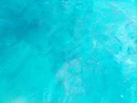 Great day of scuba diving in Key Largo with Rainbow Reef on north star tropical adventure 2022 06 09 r12637 1