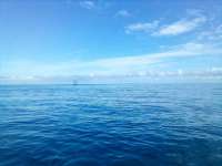 Great day of scuba diving in Key Largo with Rainbow Reef on north star tropical adventure 2022 06 09 r12638 2