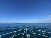 Great day of scuba diving in Key Largo with Rainbow Reef on pickles reef tropical adventure 2022 06 10 r12645 1