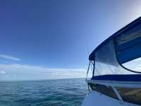 Great day of scuba diving in Key Largo with Rainbow Reef on pickles reef tropical adventure 2022 06 10 r12645 2
