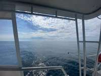 Great day of scuba diving in Key Largo with Rainbow Reef on spiegel grove tropical destiny 2022 06 01 r12593 1