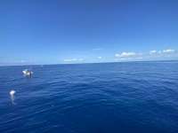 Great day of scuba diving in Key Largo with Rainbow Reef on spiegel grove tropical odyssey 2022 06 18 r12702 1