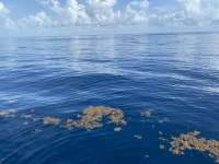 Great day of scuba diving in Key Largo with Rainbow Reef on spiegel grove tropical odyssey 2022 06 20 r12717 3