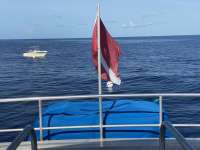 Great day of scuba diving in Key Largo with Rainbow Reef on spiegel grove tropical odyssey 2022 06 23 r12745 2