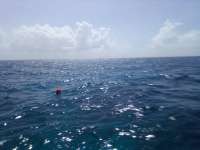 Great day of scuba diving in Key Largo with Rainbow Reef on uscgc bibb tropical destiny 2022 06 15 r12680 1