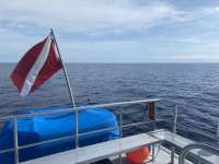 Great day of scuba diving in Key Largo with Rainbow Reef on uscgc bibb tropical odyssey 2022 06 08 r12626 1