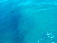 Great day of scuba diving in Key Largo with Rainbow Reef on benwood wreck tropical legend 2022 03 20 r12225 1