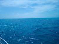 Great day of scuba diving in Key Largo with Rainbow Reef on conch ledge tropical legend 2022 03 16 r12209 1