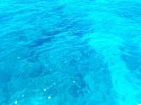 Great day of scuba diving in Key Largo with Rainbow Reef on eagle ray alley tropical legend 2022 03 20 r12229 1
