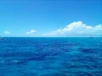 Great day of scuba diving in Key Largo with Rainbow Reef on eagle ray alley tropical legend 2022 03 20 r12229 2
