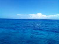 Great day of scuba diving in Key Largo with Rainbow Reef on eagle ray alley tropical legend 2022 03 20 r12229 3