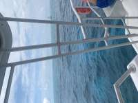 Great day of scuba diving in Key Largo with Rainbow Reef on molasses reef tropical destiny 2022 03 10 r12187 1