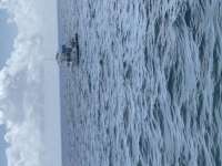 Great day of scuba diving in Key Largo with Rainbow Reef on molasses reef tropical destiny 2022 03 15 r12195 1