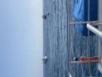 Great day of scuba diving in Key Largo with Rainbow Reef on molasses reef tropical serenity 2022 03 20 r12226 1