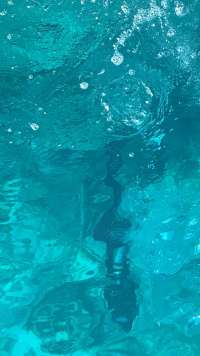 Great day of scuba diving in Key Largo with Rainbow Reef on spiegel grove tropical legend 2022 03 01 r12165 1
