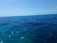 Great day of scuba diving in Key Largo with Rainbow Reef on the horseshoe tropical destiny 2022 03 17 r12211 1