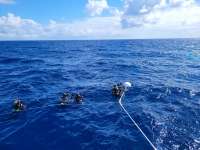 Great day of scuba diving in Key Largo with Rainbow Reef on uscgc duane tropical destiny 2022 03 03 r12175 1