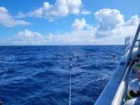 Great day of scuba diving in Key Largo with Rainbow Reef on uscgc duane tropical destiny 2022 03 03 r12175 2