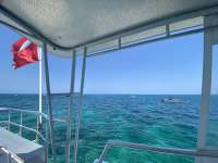 Great day of scuba diving in Key Largo with Rainbow Reef on christ statue tropical destiny 2022 05 06 r12436 1