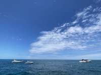Great day of scuba diving in Key Largo with Rainbow Reef on christ statue tropical destiny 2022 05 14 r12487 1