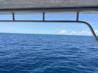 Great day of scuba diving in Key Largo with Rainbow Reef on conch wall tropical odyssey 2022 05 18 r12516 1