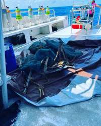 Great day of scuba diving in Key Largo with Rainbow Reef on dad staff tropical serenity 2022 05 26 r12549 1