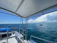 Great day of scuba diving in Key Largo with Rainbow Reef on eagle ray alley tropical legend 2022 05 17 r12512 1