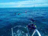 Great day of scuba diving in Key Largo with Rainbow Reef on eagle ray alley tropical odyssey 2022 05 14 r12486 1
