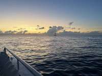 Great day of scuba diving in Key Largo with Rainbow Reef on eagle ray alley tropical serenity 2022 05 14 r12492 1