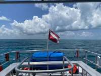 Great day of scuba diving in Key Largo with Rainbow Reef on french twist tropical odyssey 2022 05 27 r12554 1