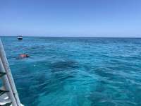 Great day of scuba diving in Key Largo with Rainbow Reef on sand island tropical adventure 2022 05 05 r12430 1