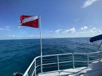 Great day of scuba diving in Key Largo with Rainbow Reef on snapper ledge tropical explorer 2022 05 03 r12414 1
