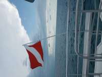 Great day of scuba diving in Key Largo with Rainbow Reef on snapper ledge tropical serenity 2022 05 10 r12455 1