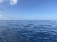 Great day of scuba diving in Key Largo with Rainbow Reef on spiegel grove tropical adventure 2022 05 05 r12428 1