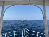 Great day of scuba diving in Key Largo with Rainbow Reef on spiegel grove tropical destiny 2022 05 06 r12432 1